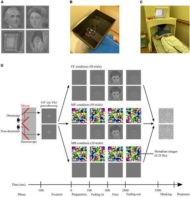 Binocularly suppressed stimuli induce brain activities related to aesthetic emotions